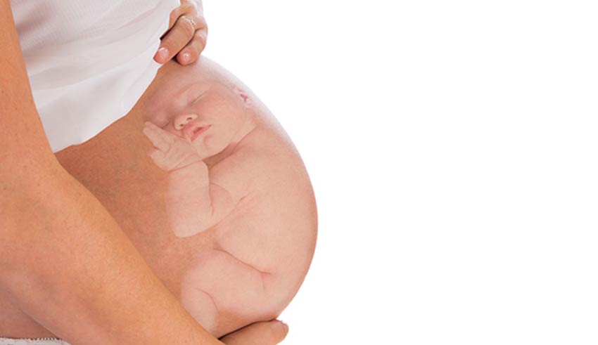 Cómo crece su bebé en el vientre