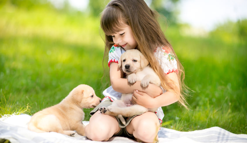 Convivir con mascotas: beneficios para los niños