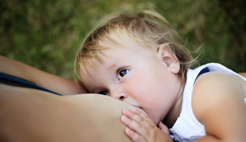 Lactancia materna en niños mayores de 2 años