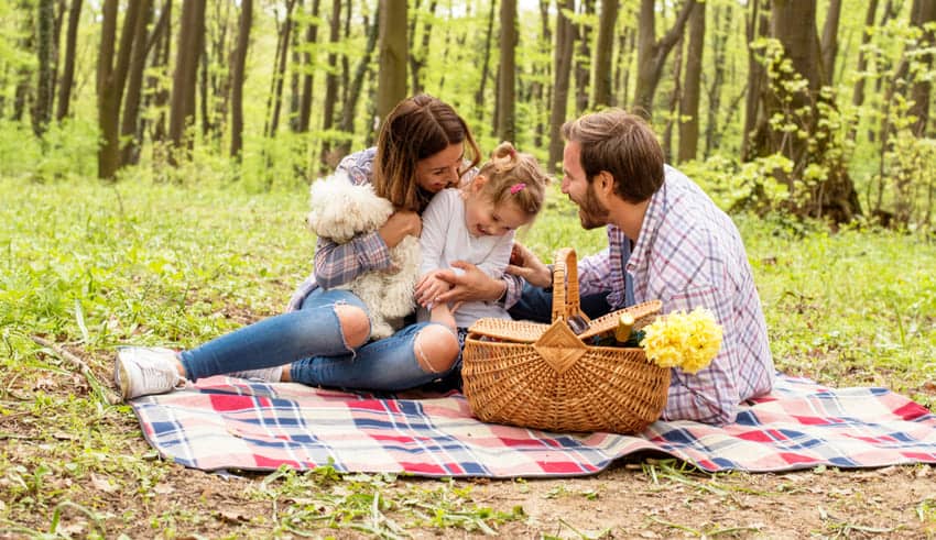 10 consejos para tus excursiones al campo en familia