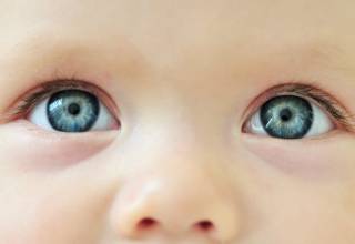 El retinoblastoma es un cáncer del ojo que se forma en la retina y que suele desarrollarse en niños menores de 5 años.